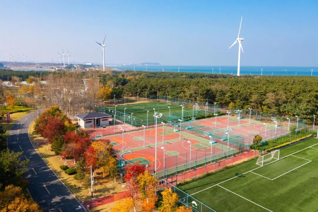 1744255603028.jpg 640 (9).jpg