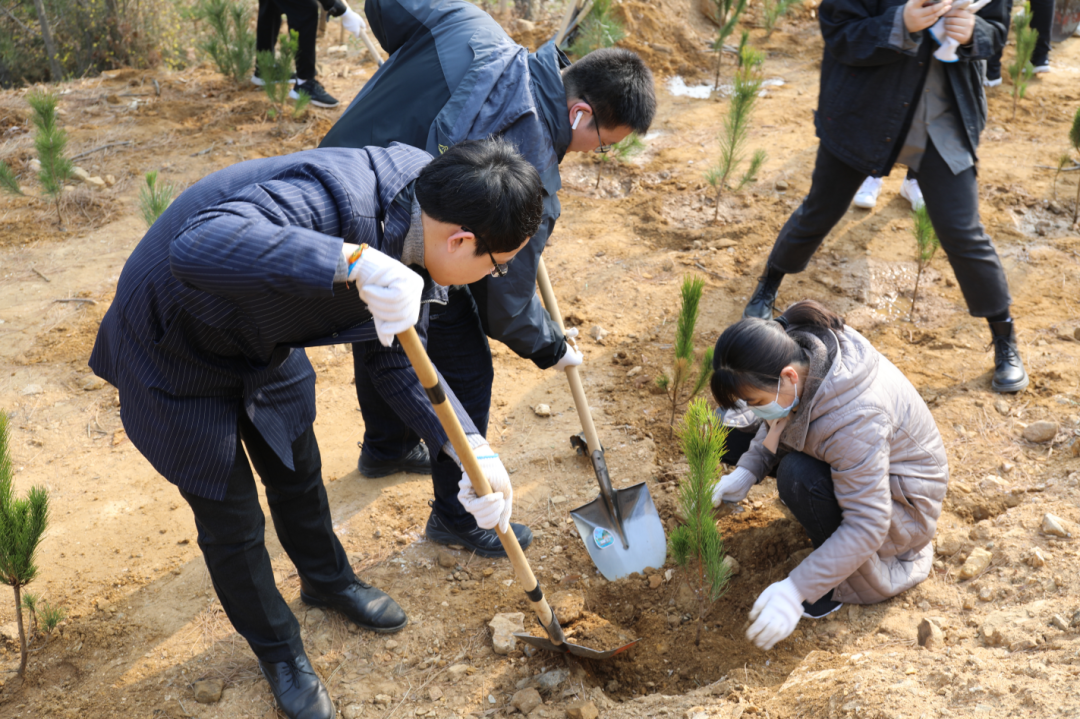 1615768996921.png 1615768996921.png