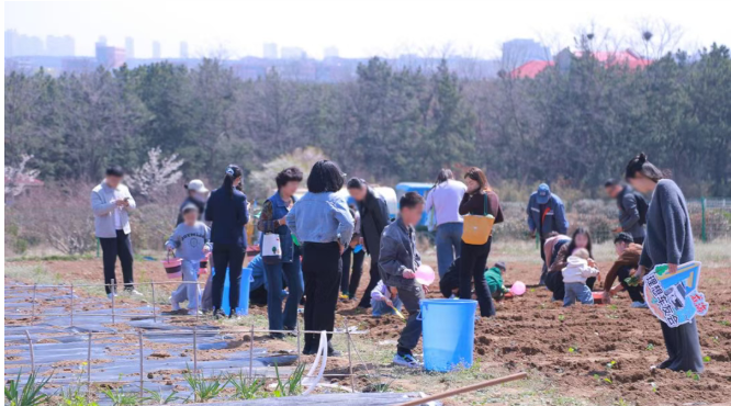 1776149132312.png 1776149132312.png