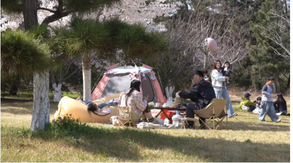 1776149187108.png 3.png