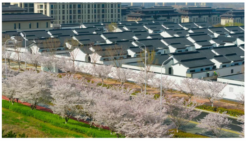 1776149275531.png 1776149275531.png